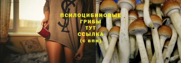 прущие грибы Нефтекумск