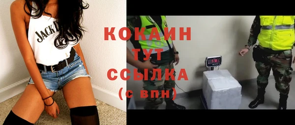 мдма Новодвинск
