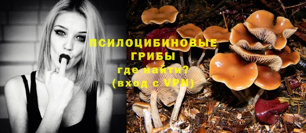 мдма Новодвинск