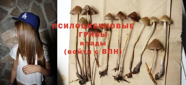 мдма Новодвинск