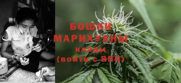 мдма Новодвинск