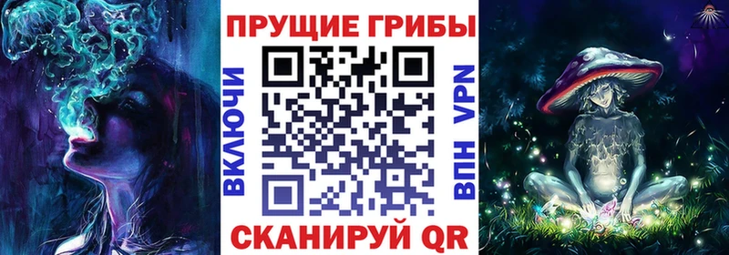 Псилоцибиновые грибы MAGIC MUSHROOMS  закладка  Нязепетровск 